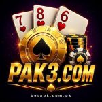 PAK3 Game APK